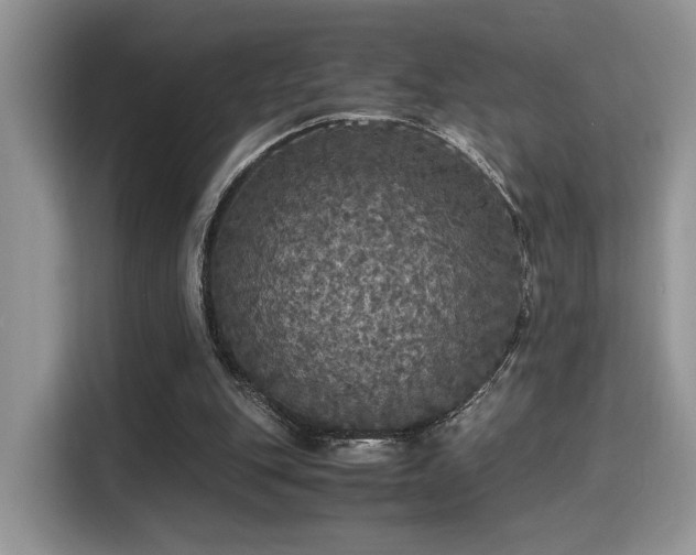 X0000115340151200911091312