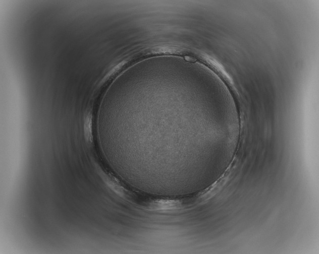 X0000115340154200911091312
