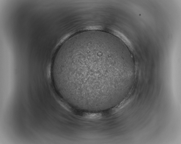 X0000115340155200911091312