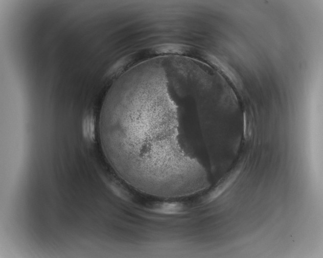 X0000115340157200911091312