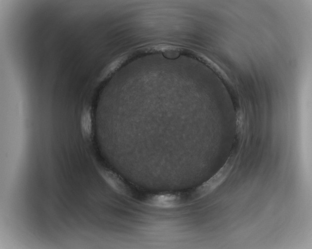 X0000115340158200911091312