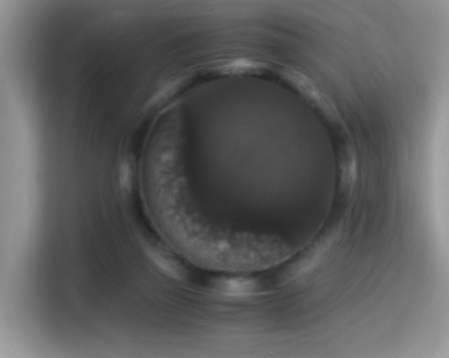 X0000115340165200911091312