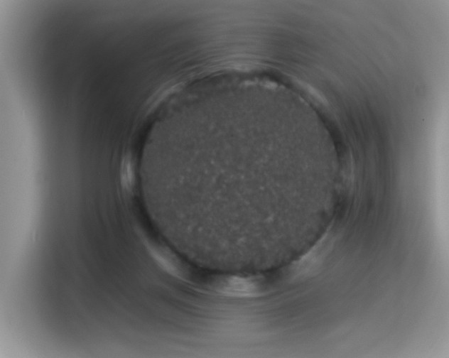 X0000115340166200911091312