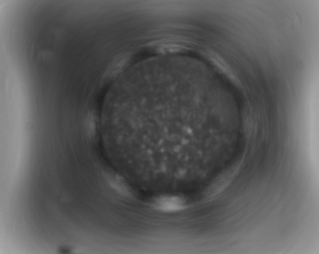 X0000115340169200911091312