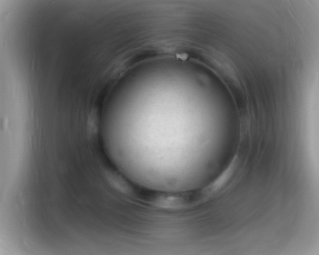 X0000115340174200911091312