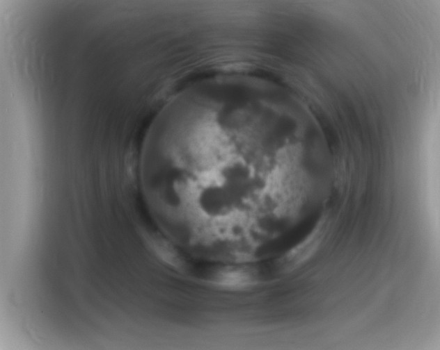 X0000115340175200911091312