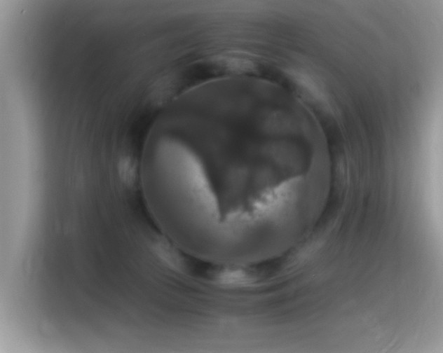 X0000115340177200911091312