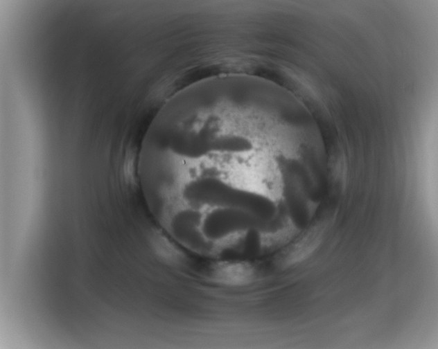 X0000115340185200911091312