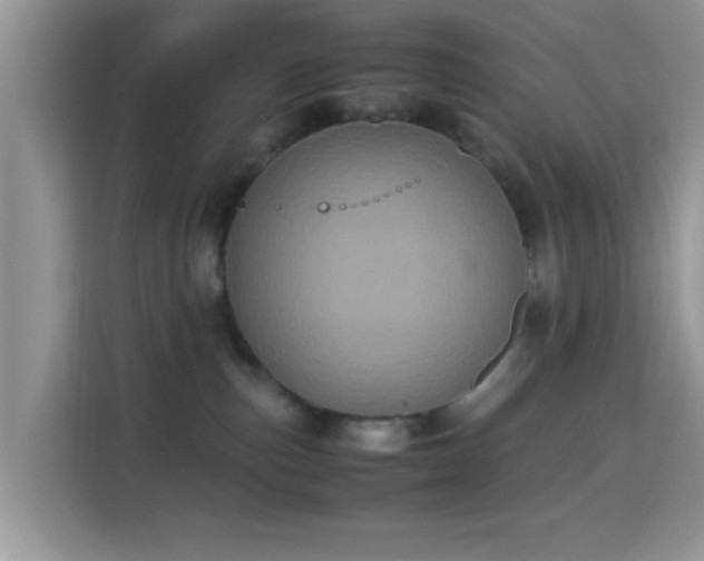 X0000115340187200911091312