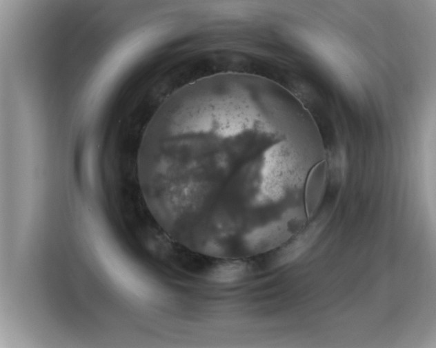 X0000115340189200911091312