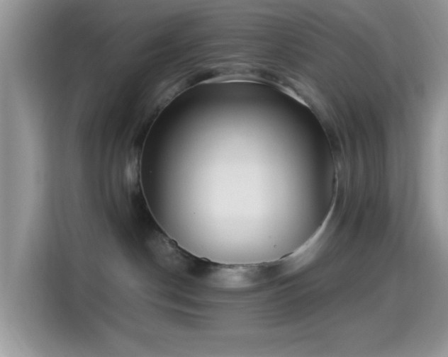 X0000115340190200911091312