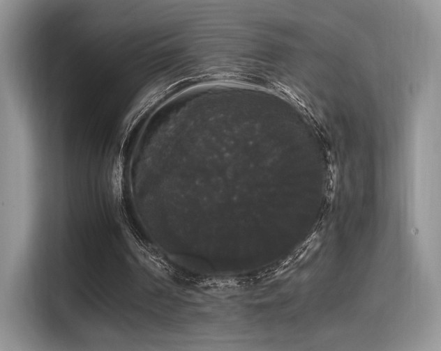 X0000115340194200911091312
