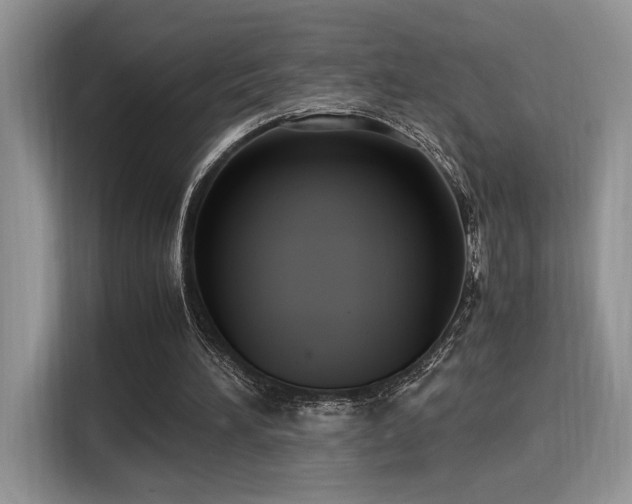 X0000115340196200911091312