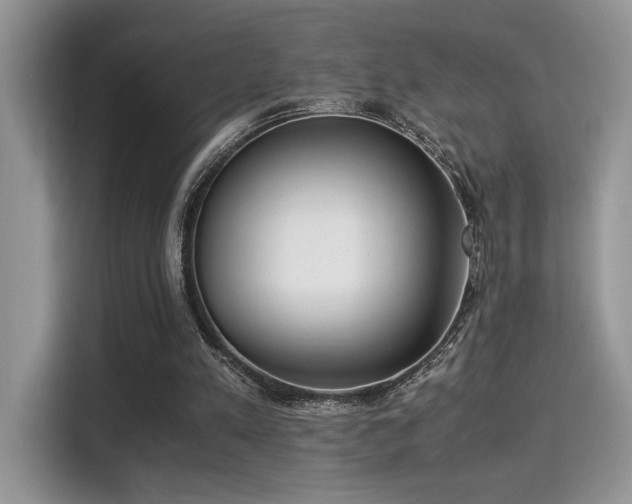 X0000115340197200911091312