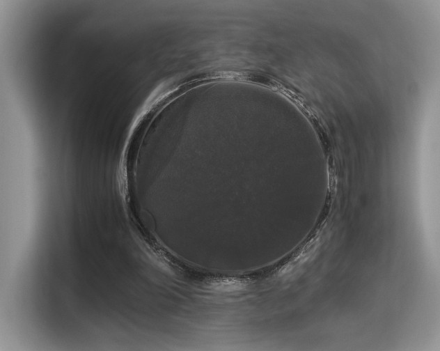 X0000115340198200911091312