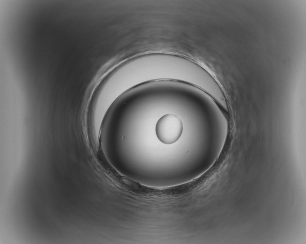 X0000115340199200911091312