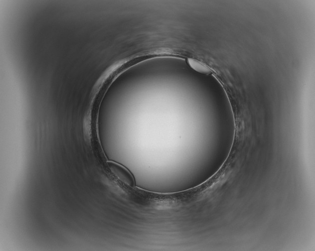 X0000115340200200911091312
