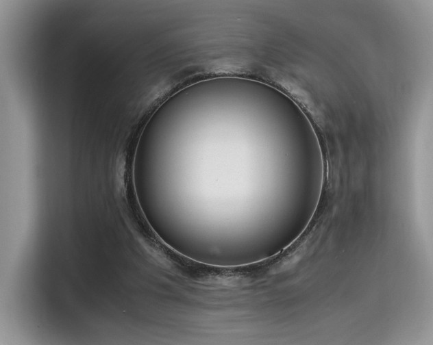 X0000115340201200911091312