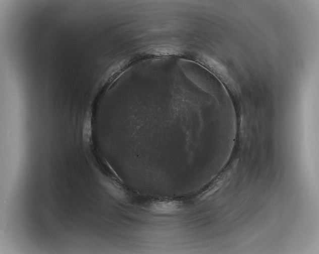 X0000115340202200911091312