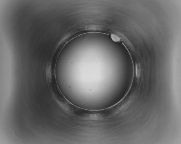 X0000115340204200911091312