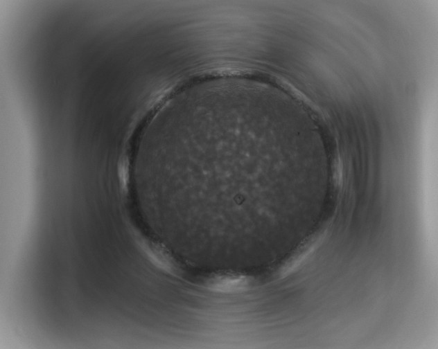 X0000115340206200911091312