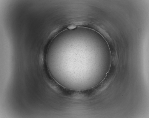 X0000115340207200911091312