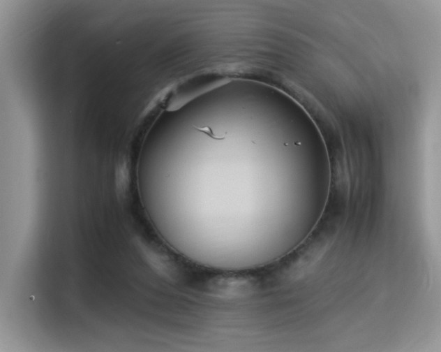 X0000115340208200911091312
