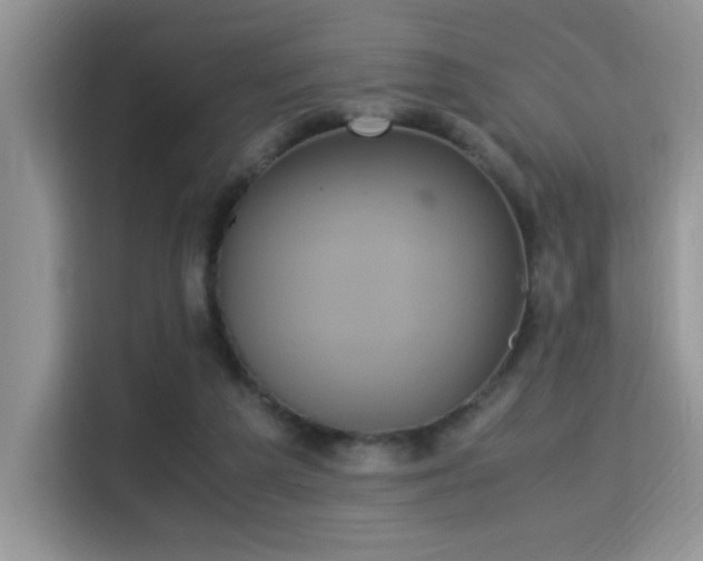 X0000115340209200911091312