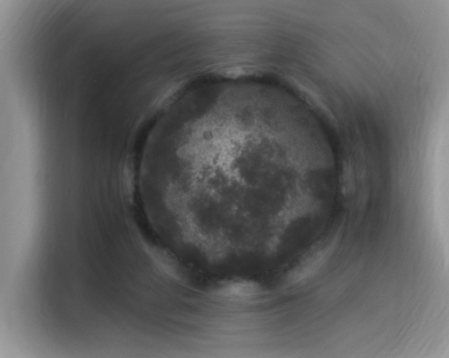 X0000115340210200911091312