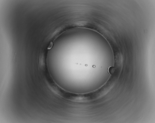 X0000115340212200911091312
