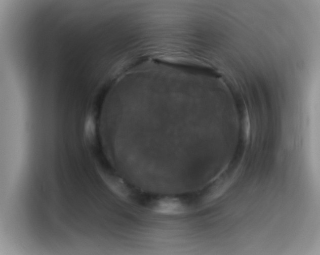 X0000115340214200911091311