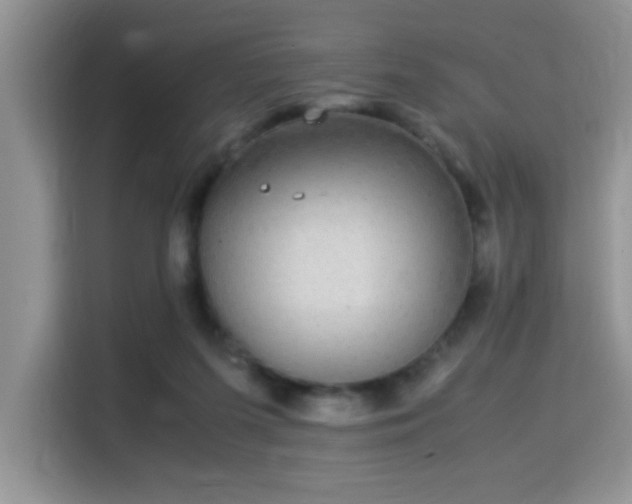 X0000115340215200911091311