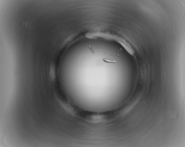 X0000115340216200911091311
