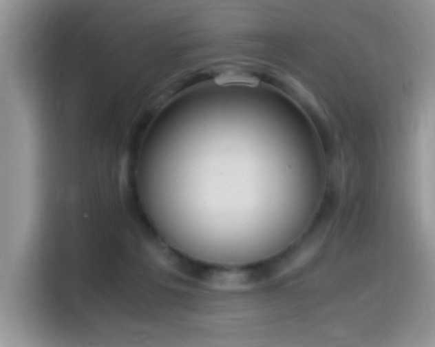 X0000115340217200911091311