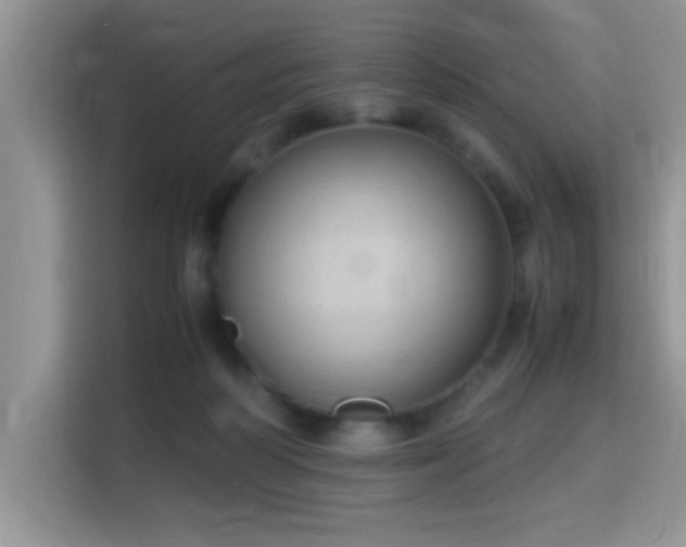 X0000115340218200911091311
