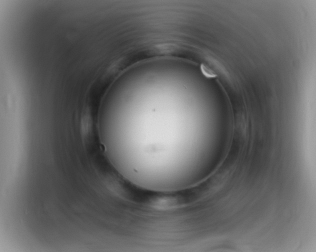 X0000115340220200911091311