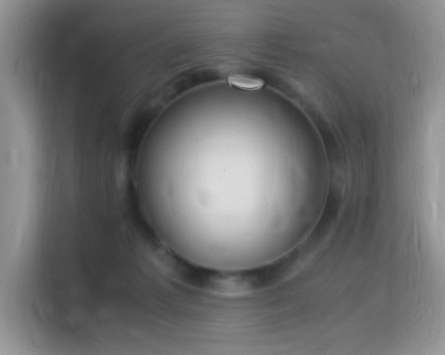 X0000115340221200911091311