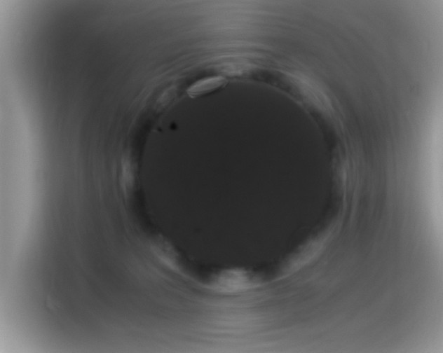 X0000115340227200911091311