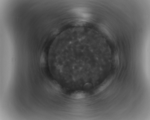 X0000115340228200911091311