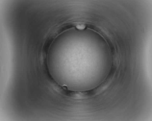 X0000115340229200911091311