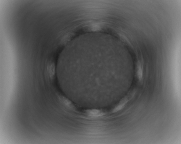 X0000115340230200911091311