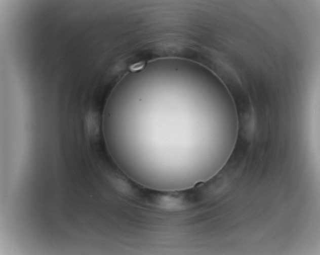 X0000115340232200911091311