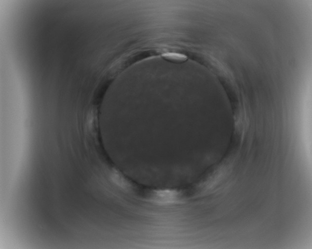 X0000115340233200911091311