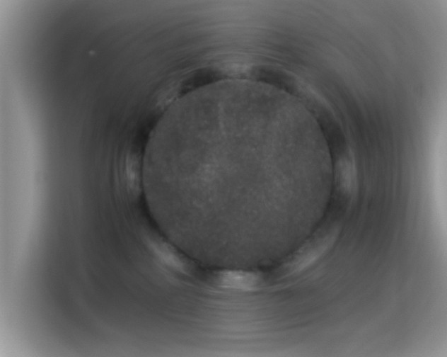 X0000115340234200911091311