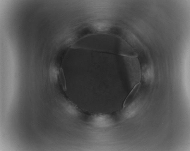 X0000115340235200911091311