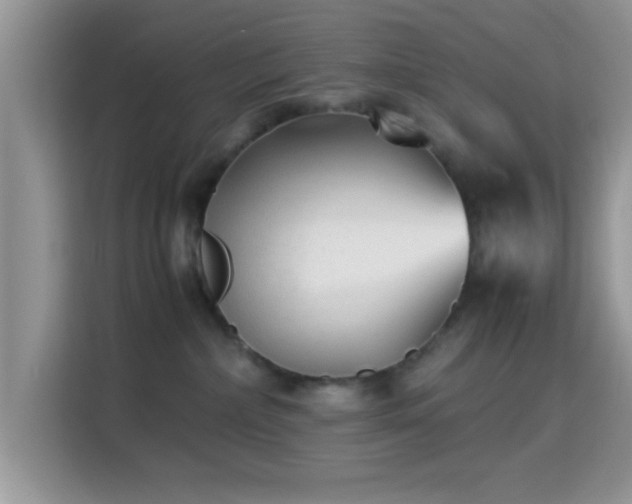 X0000115340236200911091311