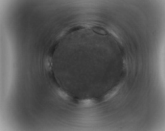 X0000115340237200911091311