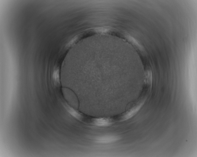 X0000115340238200911091311