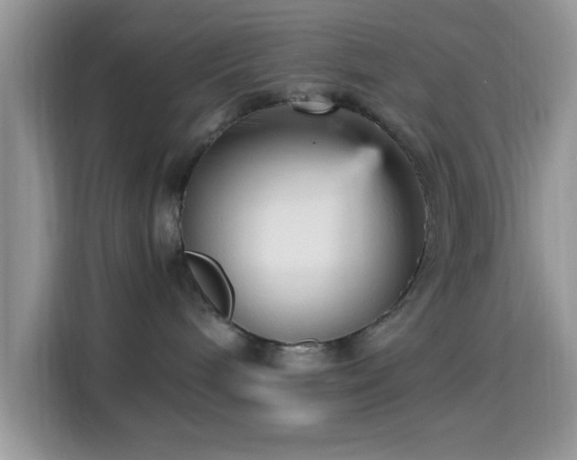 X0000115340240200911091311