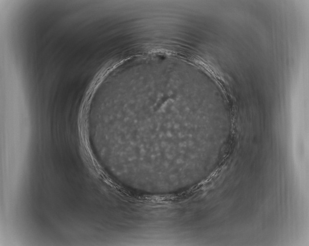 X0000115340241200911091311